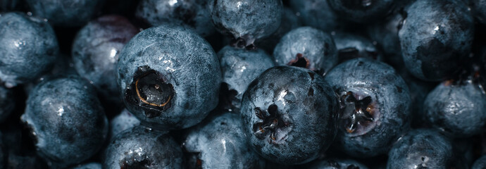 Wet fresh Blueberry background. close up with selective focus
