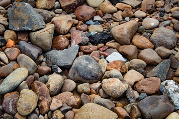 Pedras da praia de diversas cores e texturas