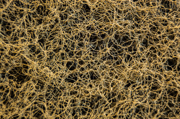 rough yellow surface from the dishwashing sponge