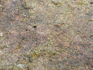Close up texture of a light brown stone. Abstract nature background.