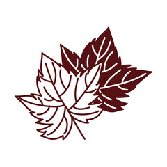 grape plant leaf nature icon