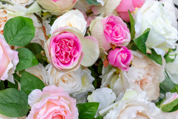 Fake artifical pink and white roses background.