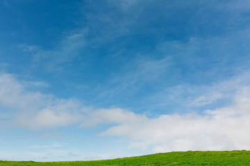 Idyllic green pastoral field with blue sky and clouds / copy space for text