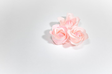 Obraz na płótnie Canvas three pink roses on a white background, holiday, Valentine's day, wedding