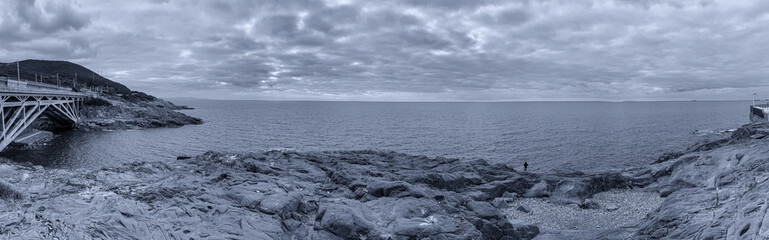 Obraz premium Panoramic view of Calafuria's gulf, Leghorn, Italiy