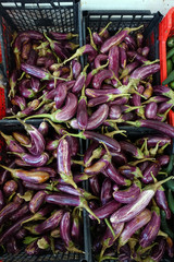 Auberginen - Bandabulya Städtischer Markt Nord-Nokosia