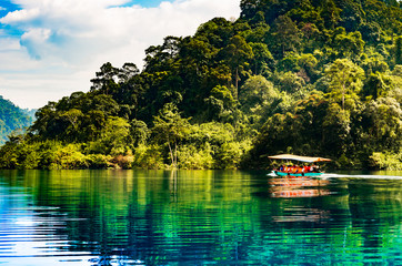 tourist boat in the jungle