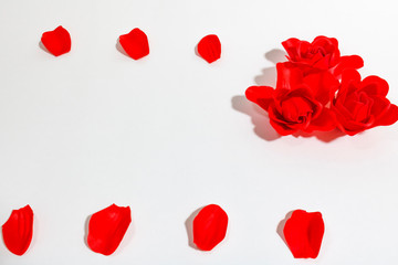 decorative red rose and red petals on white background, holiday, wedding, Valentine's day