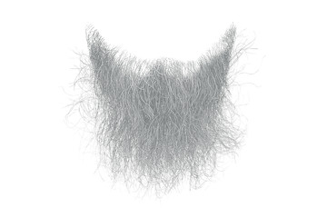 Disheveled gray beard isolated on white. Mens fashion