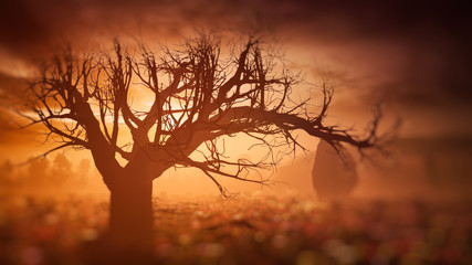 dreamy sunset fantasy tree and landscape environment with soft focus