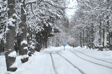 Fototapeta premium Winter time in Tampere forest with nobody around. Tampere is a city in Pirkanmaa, southern Finland. It is the most populous inland city in the Nordic countries.