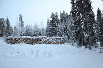 Winter time in Tampere forest with nobody around. Tampere is a city in Pirkanmaa, southern Finland. It is the most populous inland city in the Nordic countries.