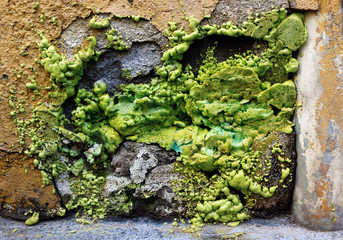 Obraz premium strange green insulating product in a broken wall with the texture of a mutant alien appearance