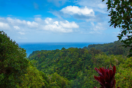 Hawaii 2020 overlook