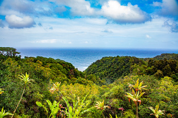 Fototapeta na wymiar Hawaii overlook on Maui 2020