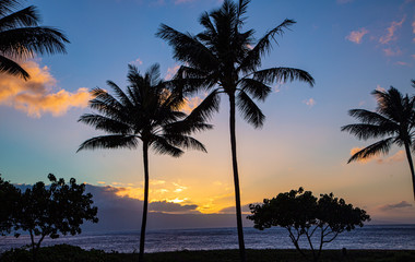 Fototapeta na wymiar Sunset Hawaii 2020