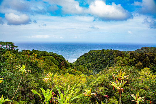 Hawaii overlook on Maui 2020