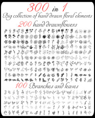 Huge collection of 300 hand-drawn floral elements. Big collection of 200 hand-drawn flowers and 100 brunches and leaves. Big floral botanical set isolated on a white background