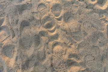The sandy beach has many signs of being stepped on.