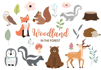 Cute woodland object collection with bear,owl,fox,skunk,mushroom and leaves.Vector illustration for icon,logo,sticker,printable