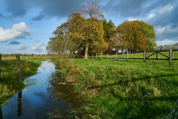 artificial historical hill called "Jedutenhügel" from the Middle Ages in Nordenham-Grebswarden (district Wesermarsch, Germany) with autumnal trees in front of vivid blue sky with white and grey clouds