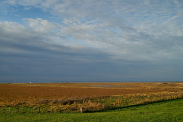 background picture of salt marshes at the north sea coast in atumn under vivid grey sky