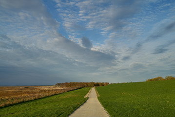 Fototapeta na wymiar rural lane next to a dike and salt marshes leading to the swimming moor in Sehestedt, community Butjadingen, district Wesermarsch (Germany) ander vivid cloudy sky in autumn