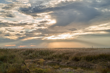 scenic sunset with mystic clouds over the salt marshes in Sehestedt, community Butjadingen,...