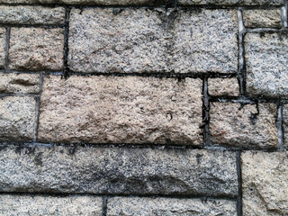 A close-up of a brick wall