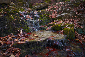 Fototapeta premium Small waterfall in the autumn forest.