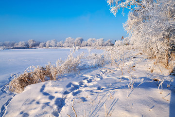 Soft rime and snow scenic of winter season