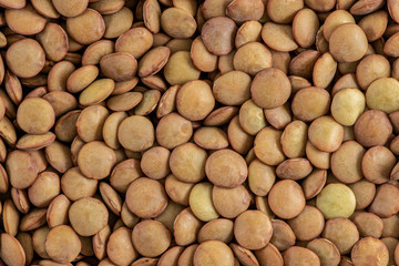 Brown lentils close-up shot. Lens culinaris. Food backgrounds.