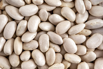 Haricot beans close-up shot. Common white beans. Food backgrounds.