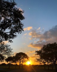 Fototapeta na wymiar sunset with trees and blue sky