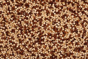 Top view on background texture of uncooked red and white quinoa. Copy space for your text.