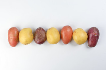 red purple yellow multi tri color small baby potato on white background frame border copy text space