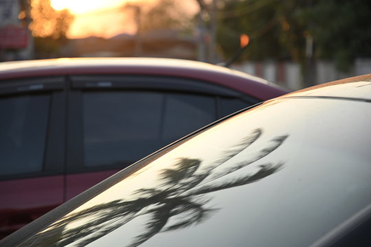 Black Modern Car Road Trip Travel In The Morning With Palm Tree Reflection In Windshield