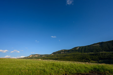 Blue Sky Over Bighorn National Forest