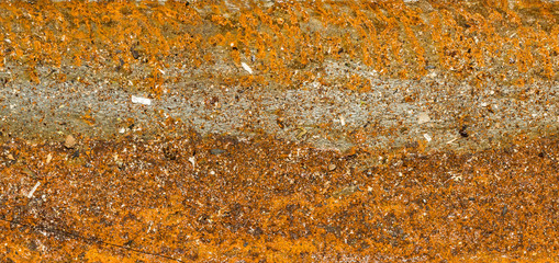 orange rust on steel bar