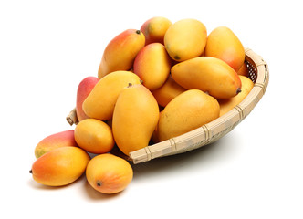 Mango on a white background