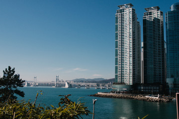 skyscrapers in Busan