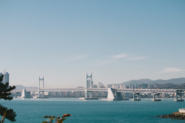 Bridge in Busan, Korea
