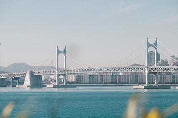 Busan bridge, Korea