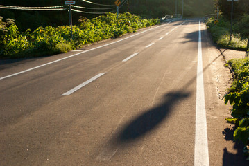 長い影の道路