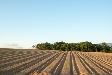 丘陵にある農耕地 北海道
