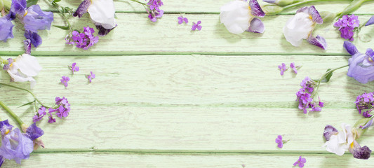 spring flowers on old green wooden background