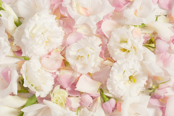 Obraz na płótnie Canvas background of pastel roses and eustoma flowers