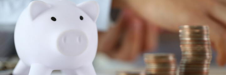 Pig with money diagramm. Future needs loan education or mortgage credit spend vacation of dream effective buying financial risk and safety concept