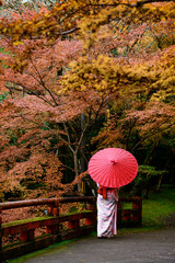 woman girl holding umbrella in old fashion style wearing traditional or original Japanese dressed,...