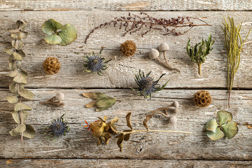 Various dried flowers on a wooden table.